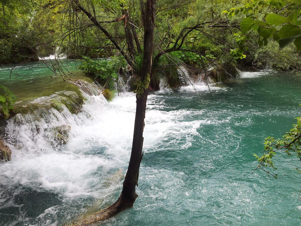 Guest House Family Varda Plitvice Lakes Plitvická jezera Exteriér fotografie